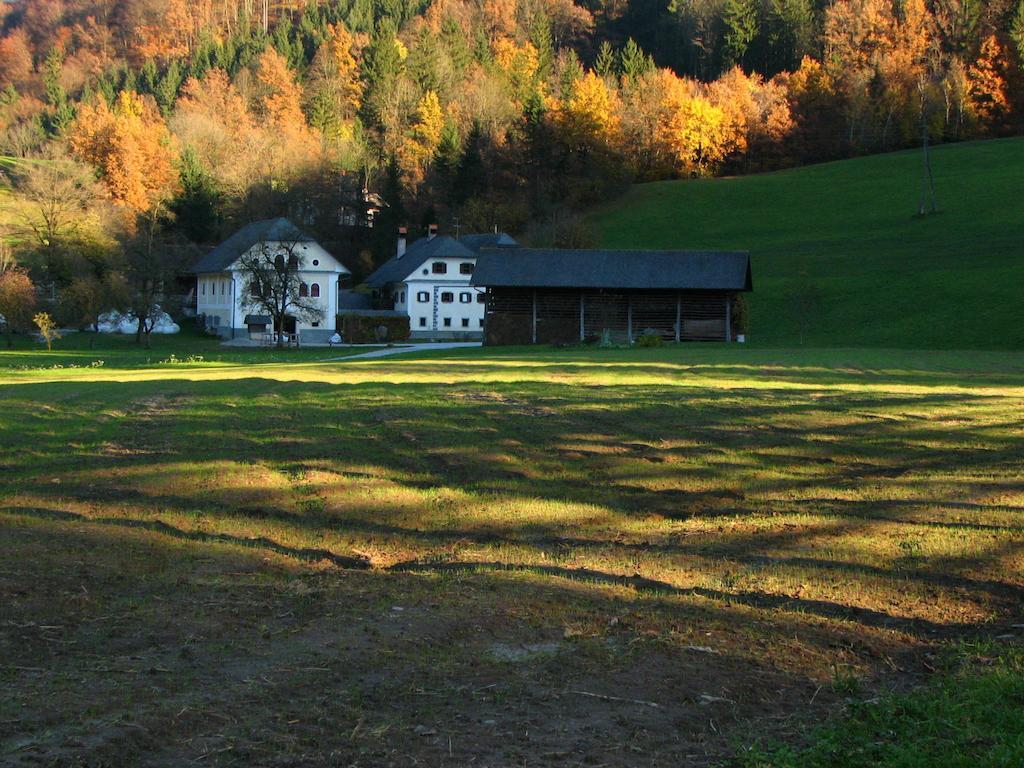 Apartments Cvetje V Jeseni Škofja Loka Exterior foto